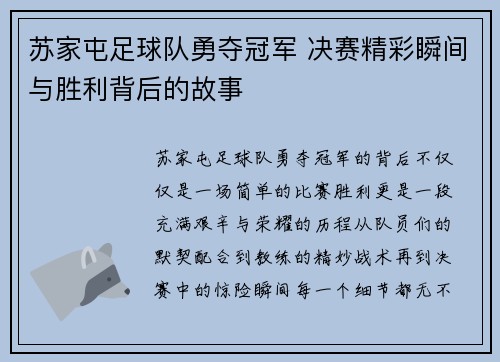 苏家屯足球队勇夺冠军 决赛精彩瞬间与胜利背后的故事