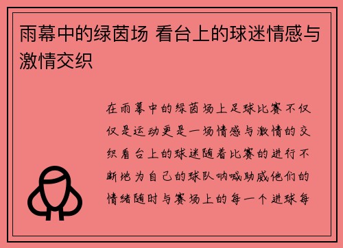 雨幕中的绿茵场 看台上的球迷情感与激情交织