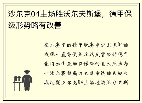 沙尔克04主场胜沃尔夫斯堡，德甲保级形势略有改善