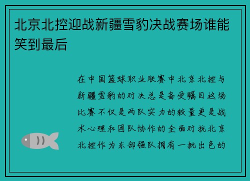 北京北控迎战新疆雪豹决战赛场谁能笑到最后