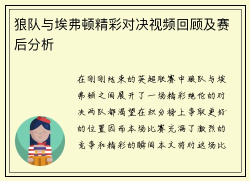 狼队与埃弗顿精彩对决视频回顾及赛后分析